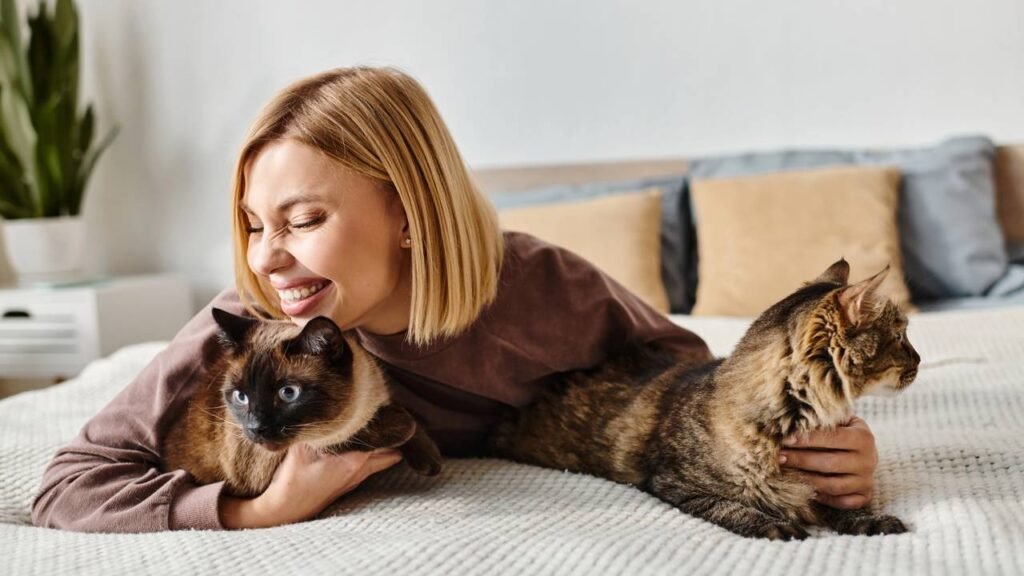 Estudos mostram que gatos têm vínculos afetivos mais profundos do que se pensava segundo especialistas