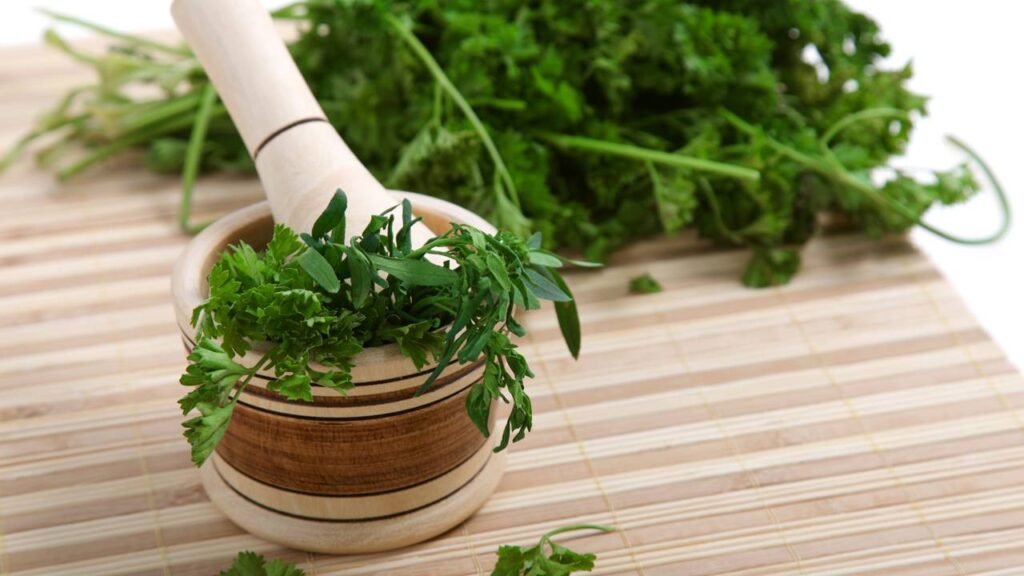 Por que algumas pessoas sentem gosto de sabão ao comer coentro segundo especialistas