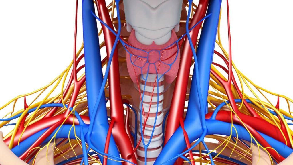 Essa reação do corpo ao frio intriga até quem já está acostumado