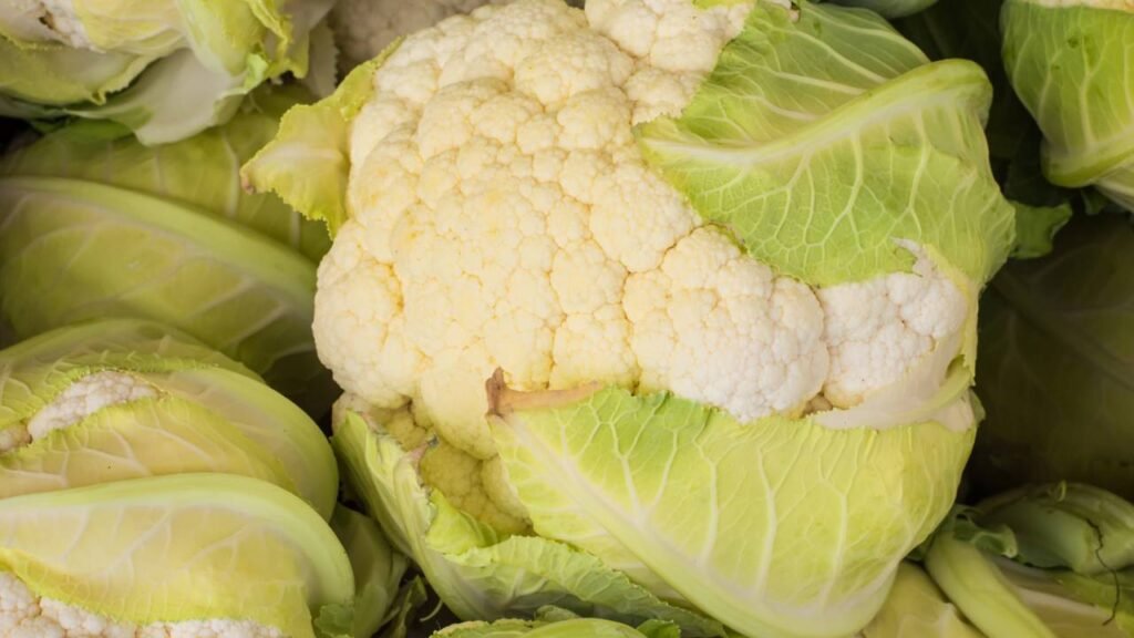 Essa é a forma correta (e que faz melhor à saúde) de comer couve