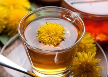 Essa erva simples virou aliada natural da saúde renal segundo especialistas