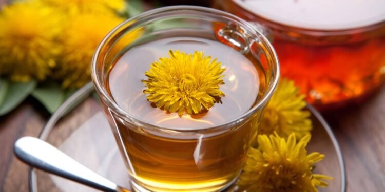 Essa erva simples virou aliada natural da saúde renal segundo especialistas