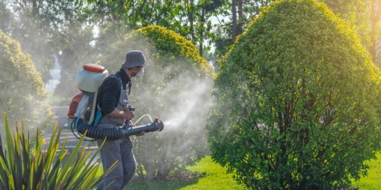 Detetizar ou dedetizar, qual é a forma correta para nunca mais errar