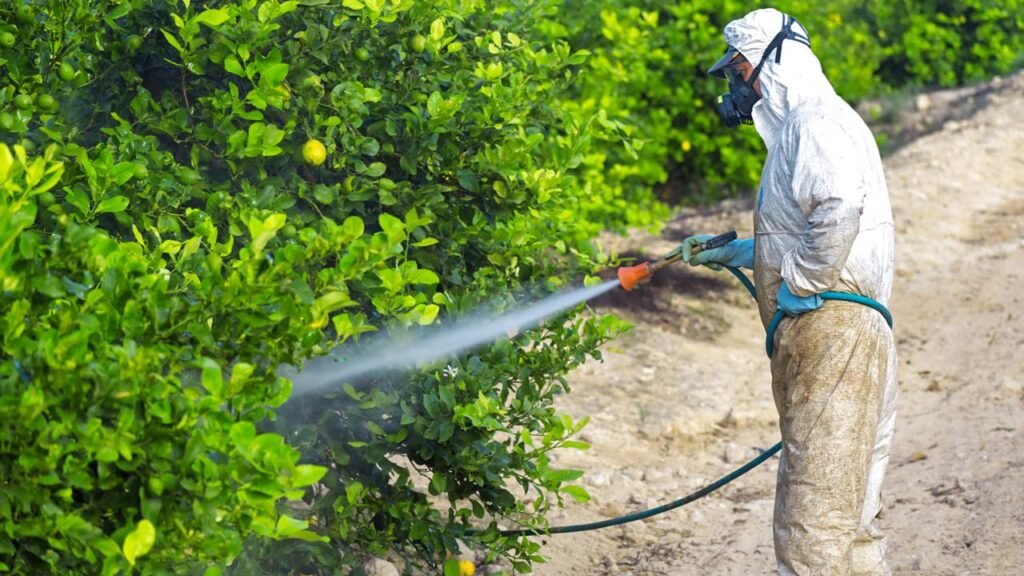 Detetizar ou dedetizar, qual é a forma correta para nunca mais errar