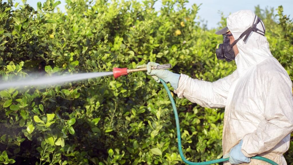 Detetizar ou dedetizar, qual é a forma correta para nunca mais errar