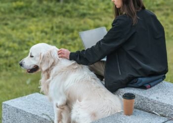Por que conviver com um cachorro na adolescência pode melhorar a saúde física e mental