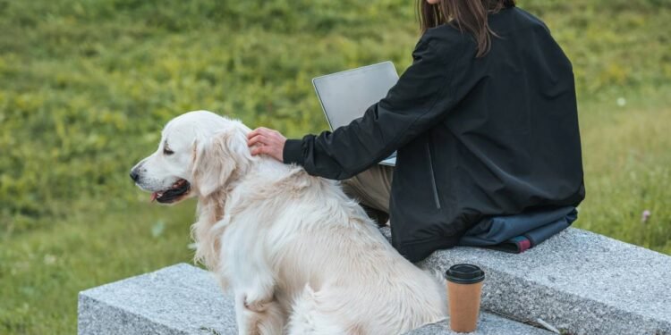 Por que conviver com um cachorro na adolescência pode melhorar a saúde física e mental