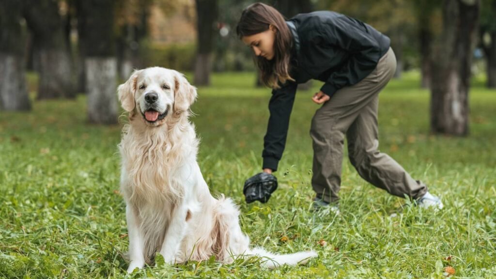 Por que conviver com um cachorro na adolescência pode melhorar a saúde física e mental