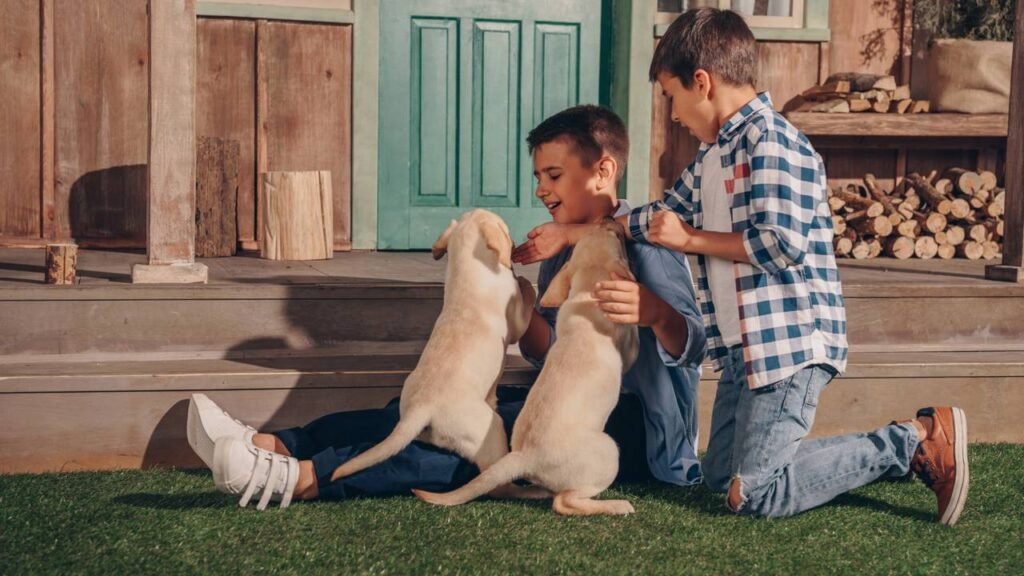 Seu cão só te segue porque sente isso em você e a ciência acaba de confirmar