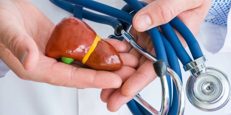 ígado gorduroso (esteatose hepática) acumula triglicerídeos em hepatócitos por excesso calórico, afetando 25-30% população adulta; assintomático inicial, detectado por USG ou enzimas elevadas // Créditos: depositphotos.com / Shidlovski