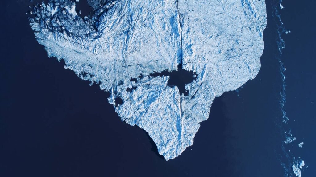 Pesquisadores encontraram vida escondida sob o gelo e mostram como a natureza resiste até no impossível