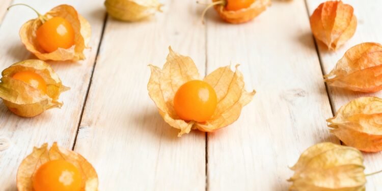 Esse pequeno fruto protege a visão, acalma a inflamação e é riquíssimo em Vitamina C