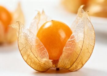 Essa frutinha dourada é um verdadeiro impulso natural para sua saúde