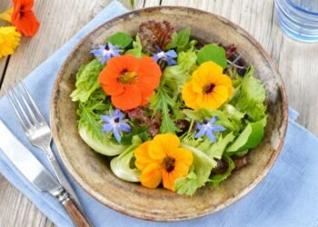 A flor comestível rica em vitamina que protege seu corpo e cresce fácil em casa