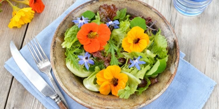 A flor comestível rica em vitamina que protege seu corpo e cresce fácil em casa