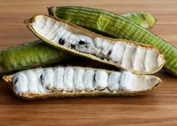 Estudos revelam benefícios impressionantes desta fruta para digestão e células