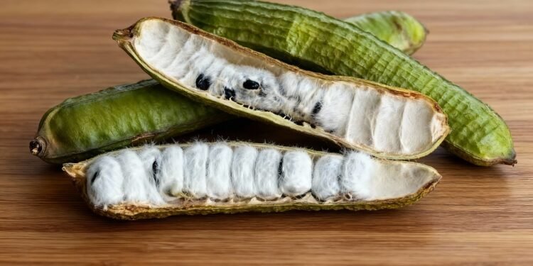 Estudos revelam benefícios impressionantes desta fruta para digestão e células