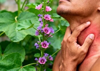 A plantinha leve que reduz a irritação na garganta, melhora aftas e ainda protege a pele inflamada