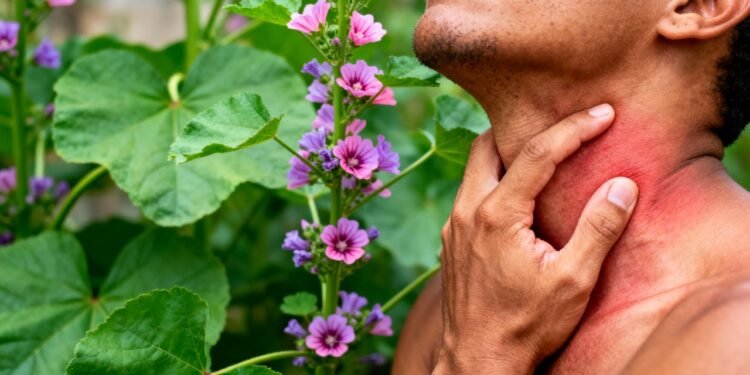 A plantinha leve que reduz a irritação na garganta, melhora aftas e ainda protege a pele inflamada