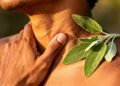 A erva aromática que acalma a garganta inflamada e ainda alivia calores da menopausa