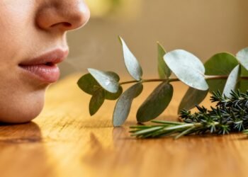 A dupla natural que desentope o nariz, acalma a dor facial e traz alívio rápido para a sinusite