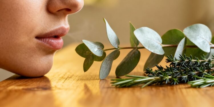 A dupla natural que desentope o nariz, acalma a dor facial e traz alívio rápido para a sinusite