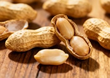 Comer este fruto seco todos os dias ajuda a fortalecer o cérebro