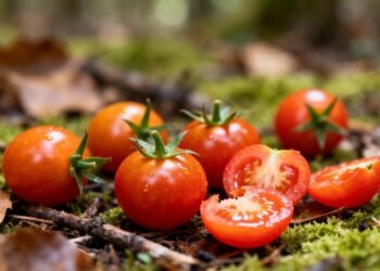 A mini fruta que protege o corpo e produz cachos generosos mesmo em espaços pequenos