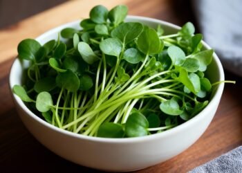 Essa folha ajuda a limpar o organismo, alivia a tosse e pode ser plantada em casa