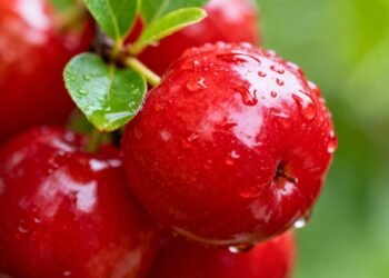 Uma das maiores fontes naturais de vitamina C está nessa fruta fácil de plantar em casa