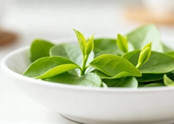 Pouca gente consome, mas esse vegetal é um dos mais nutritivos que existem