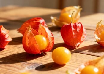 A fruta pequena que ajuda a fortalecer a imunidade e proteger as células