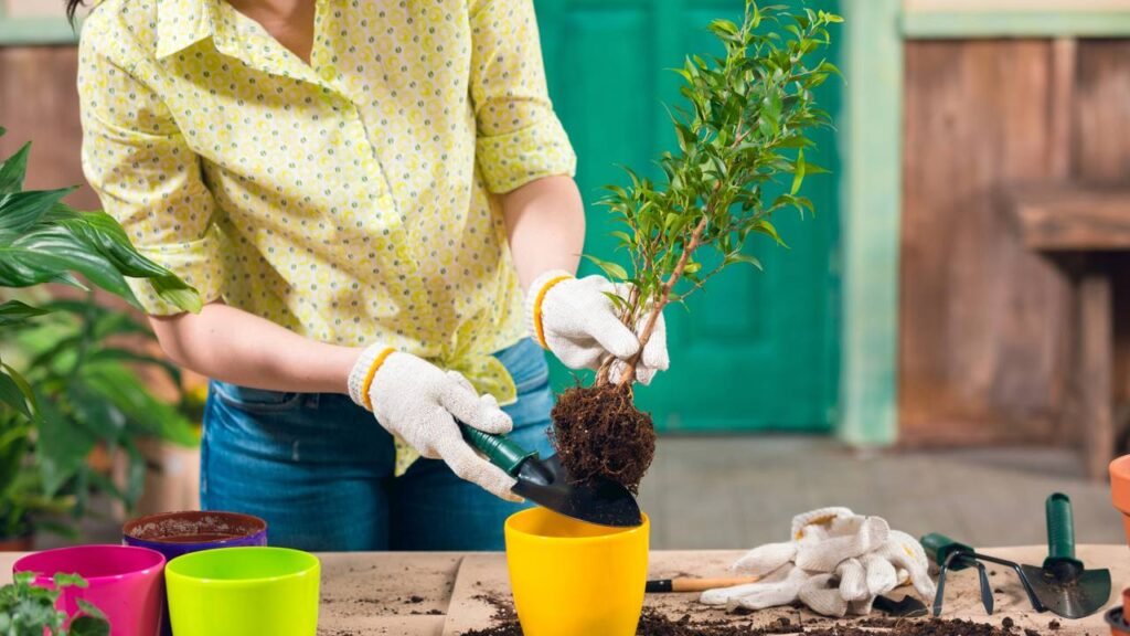 Para que servem os furos nos vasos de plantas e por que eles são essenciais