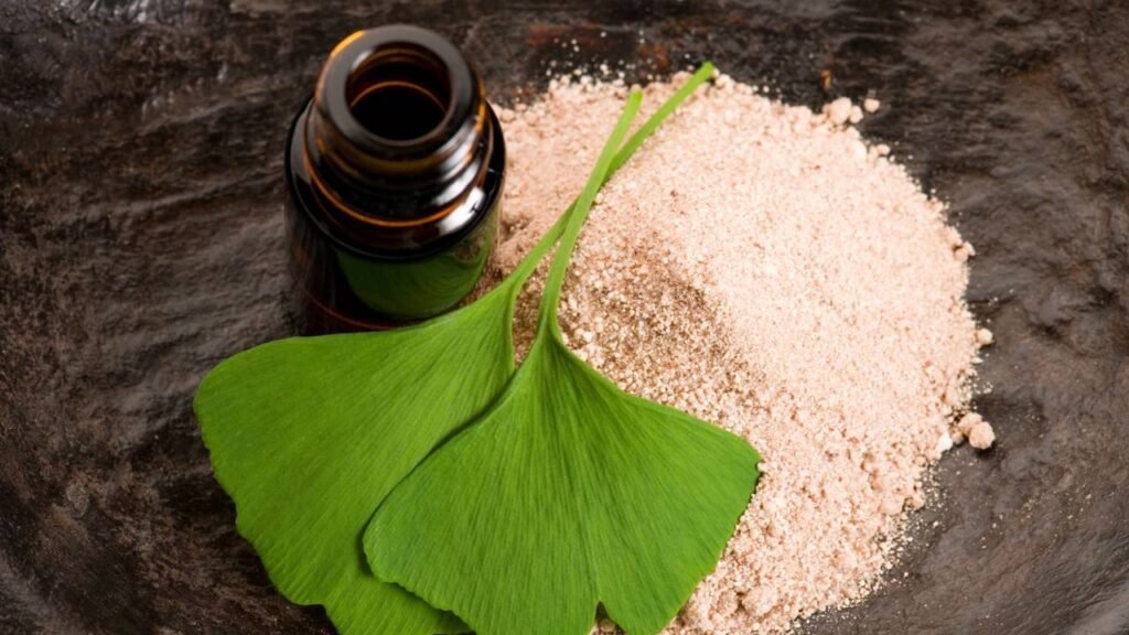 Poucos sabem o que é o ginkgo biloba e por que ele virou símbolo de memória e longevidade