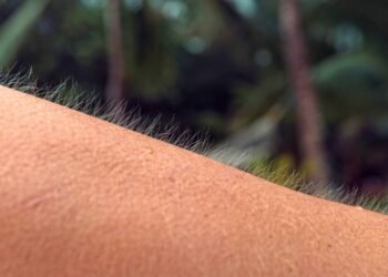 Se você sente arrepios ao ouvir certas músicas, isso tem uma explicação poderosa