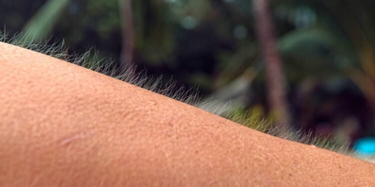 Se você sente arrepios ao ouvir certas músicas, isso tem uma explicação poderosa