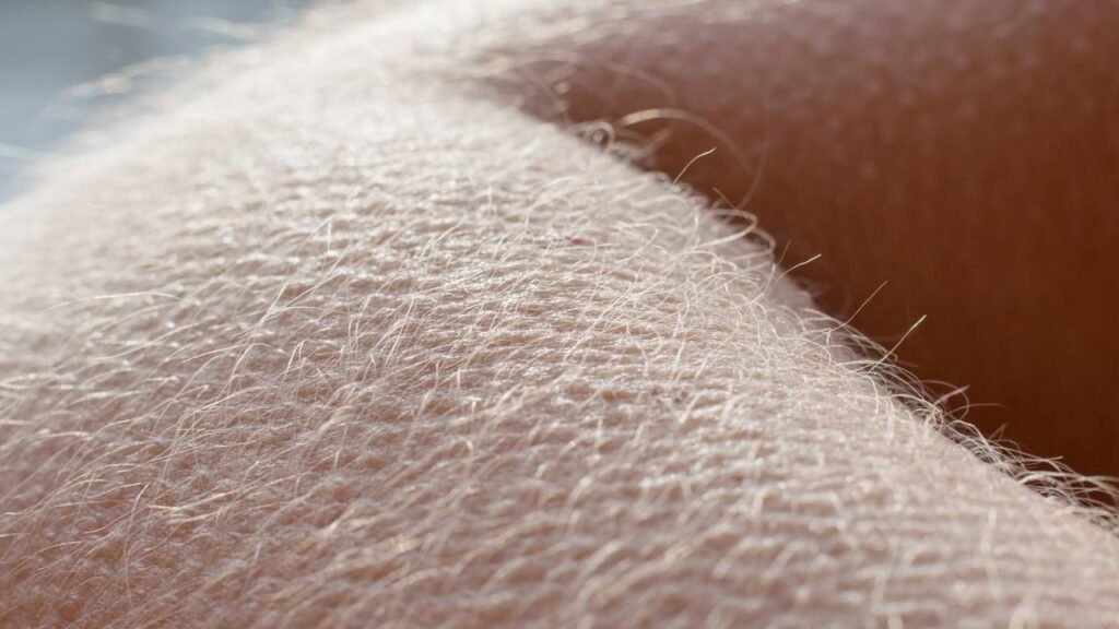 Por que sentimos arrepio ao ouvir uma música marcante segundo especialistas