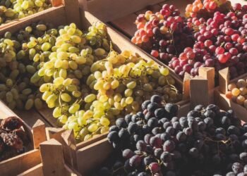 Uvas verdes e roxas são diferentes em tudo e poucas pessoas sabem disso, conheça a diferença