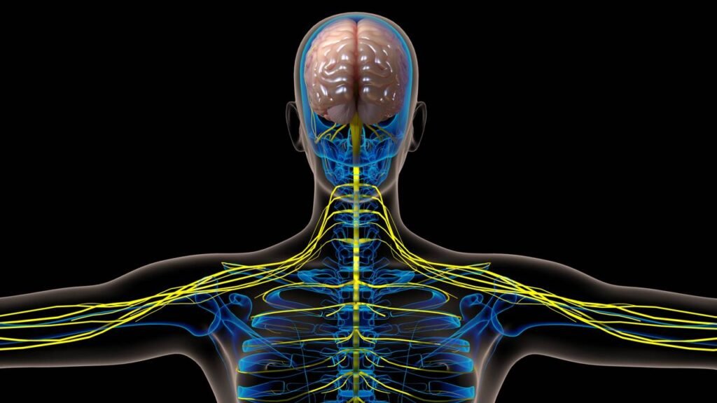 O que o formigamento nos membros está tentando dizer sobre sua saúde