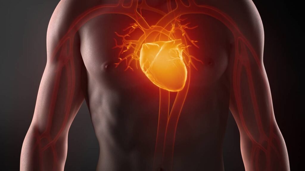 Colesterol alto e os fatores silenciosos que aumentam os perigos do coração