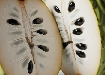 A fruta que quase ninguém lembra e é uma fonte de vitamina para o seu dia a dia