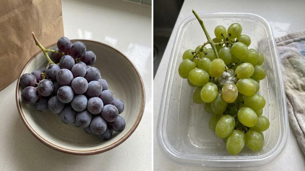 As uvas ficam frescas por até 35 dias se guardar desta forma