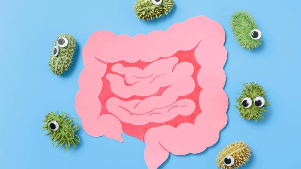 O que a ciência descobriu sobre o intestino vai mexer com sua cabeça