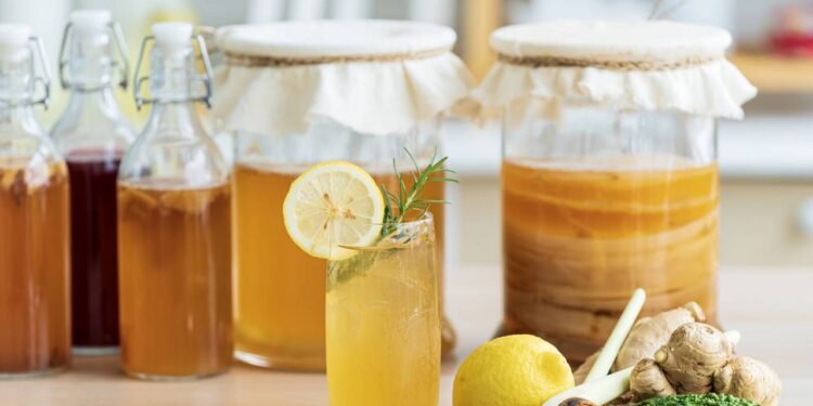 O principal benefício terapêutico da kombucha está ligado ao seu status como um alimento probiótico - Créditos: depositphotos.com / Pompjaideaw