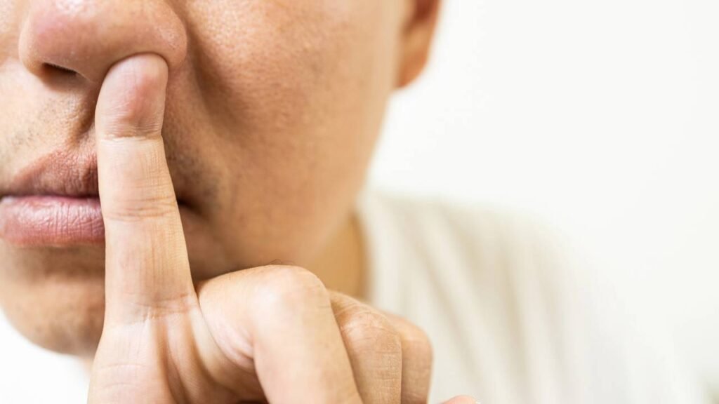 Por que criamos “melecas” ou "catotas" dentro do nariz?