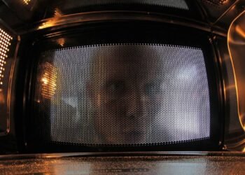 Poucos sabem por que o vidro do micro-ondas tem bolinhas pretas nas bordas