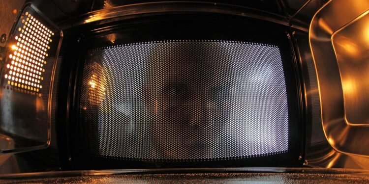 Poucos sabem por que o vidro do micro-ondas tem bolinhas pretas nas bordas