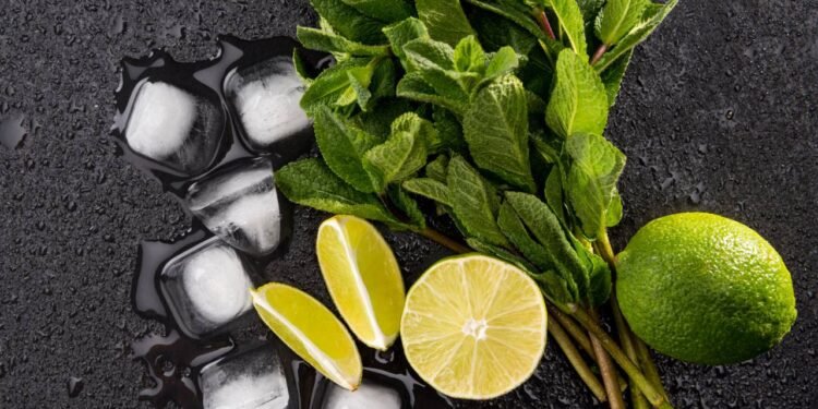 Menta - Créditos: depositphotos.com / SergPoznanskiy