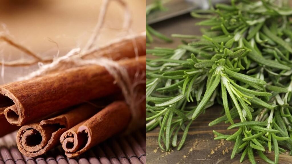 O ritual com alecrim e canela para atrair abundância e harmonizar a energia da casa