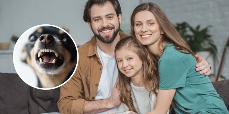 Créditos: depositphotos.com / lipa23.ukr.net
- Créditos: depositphotos.com / AllaSerebrina